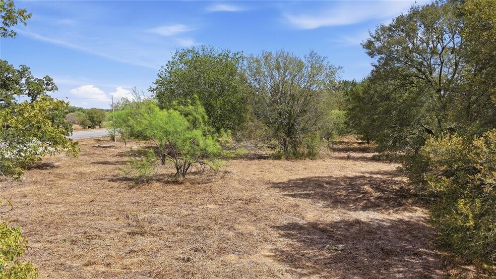 More Photos Of TBD HWY 304, Bastrop Land For Sale