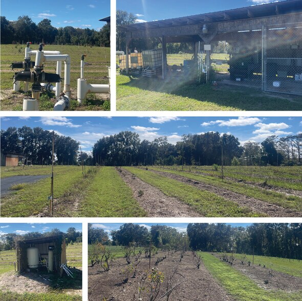 More Photos Of 9333 E Bushnell Rd, Floral City Land For Sale