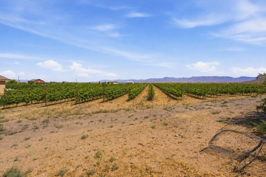 More Photos Of 6927 E Brooks Blvd, Kingman Winery Vineyard For Sale