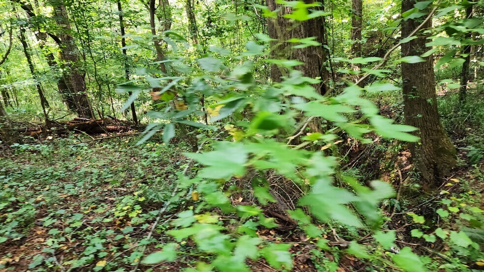 More Photos Of 1661 Friendship Rd, Hoschton Land For Sale