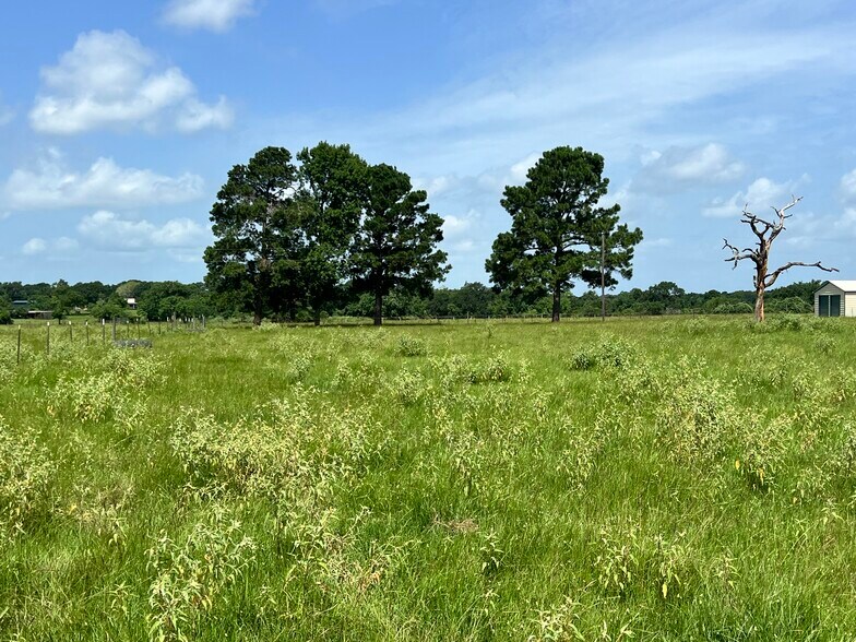 More Photos Of 20573 Fontenot Ln, Hempstead Land For Sale