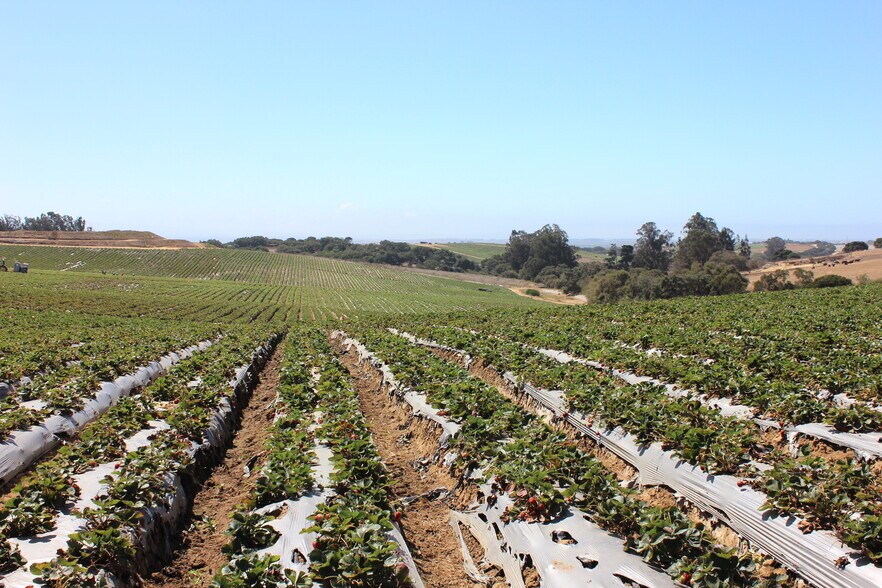 More Photos Of 16475 Blackie Rd, Salinas Land For Sale