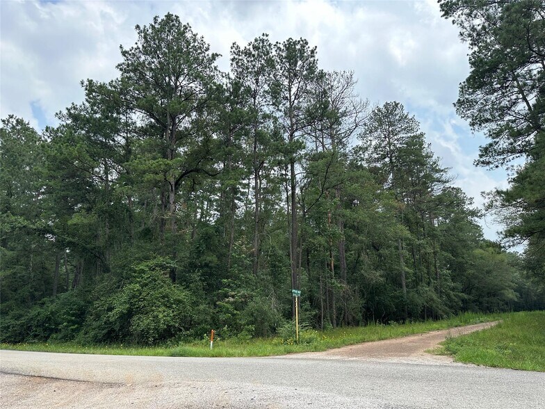 More Photos Of 19&20 Appian Way, New Caney Land For Sale