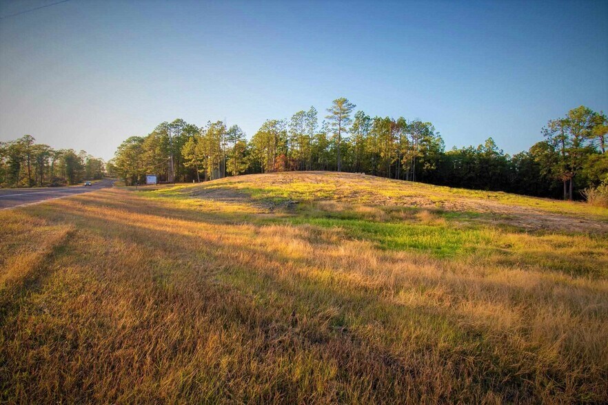More Photos Of 1900 Sam Rayburn, Brookeland Land For Sale