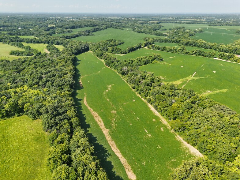 More Photos Of Walnut Hill Ln. (36.31+/- Acres), Elsberry Land For Sale