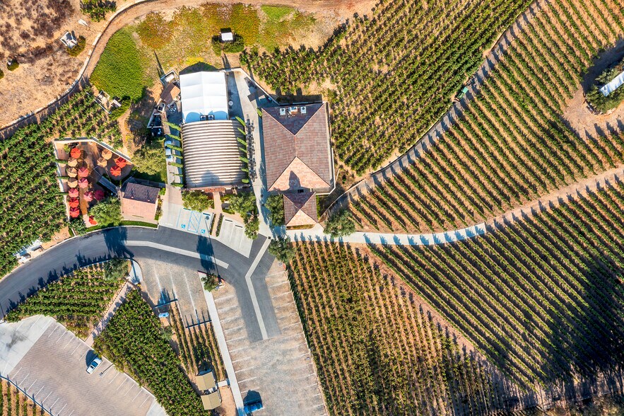 More Photos Of 36522 Via Verde, Temecula Winery Vineyard For Sale