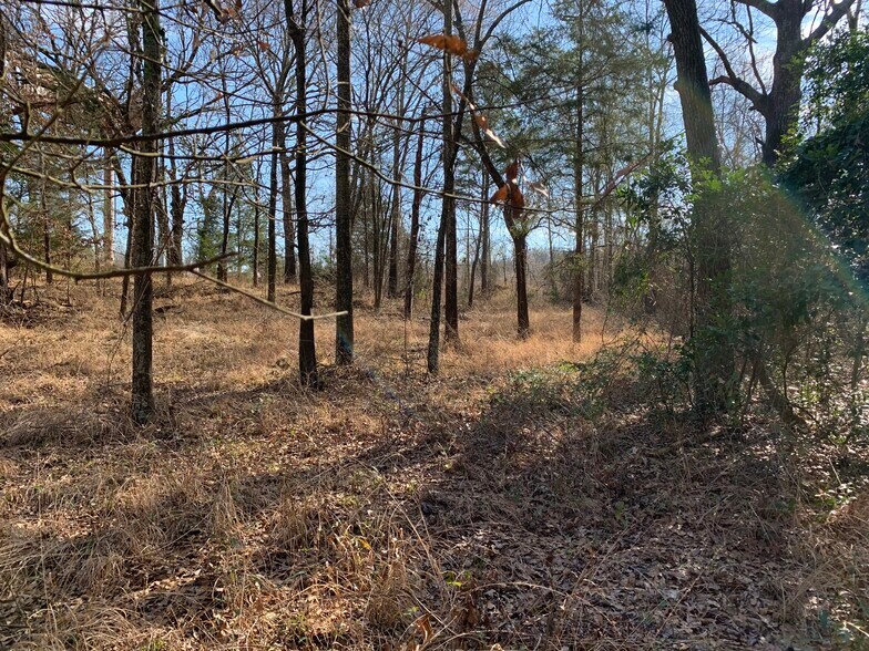 More Photos Of Interstate 20, Lindale Land For Sale