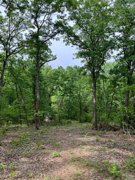 More Photos Of 20871 Arundel Dr, Marthasville Land For Sale