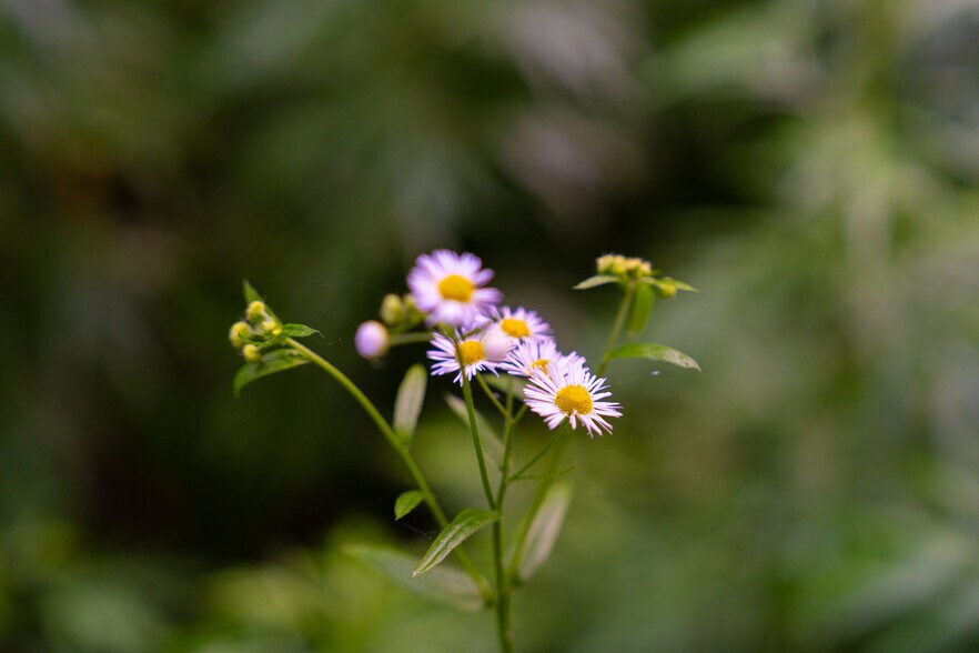 More Photos Of Broadchannel Road, Andes Land For Sale