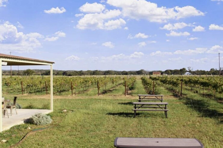 More Photos Of 11157 US 290, Hye Winery Vineyard For Sale