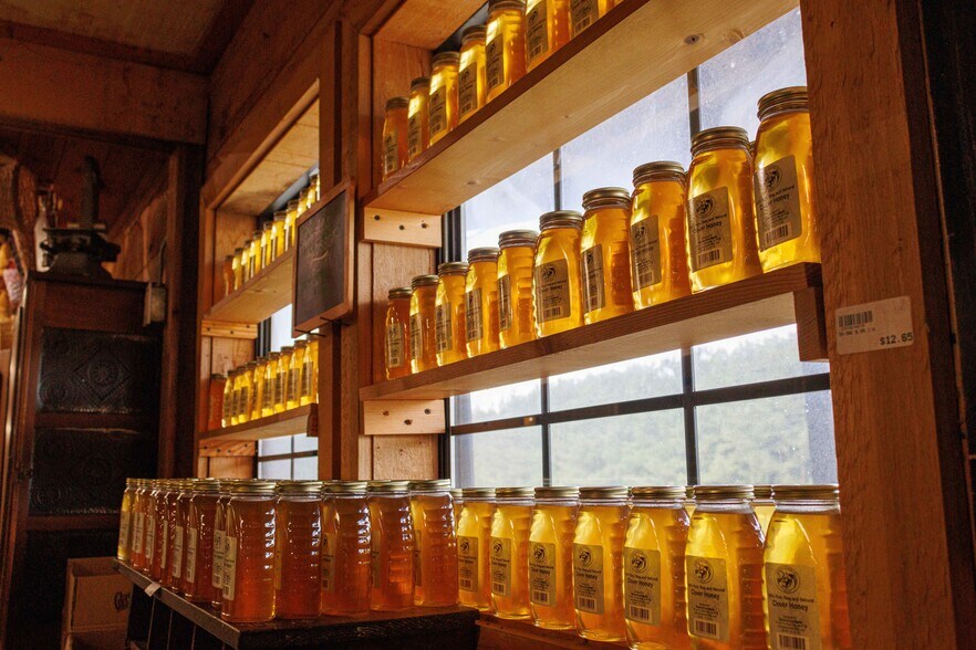 More Photos Of 63 Talona Spur Rd, Ellijay Freestanding For Sale