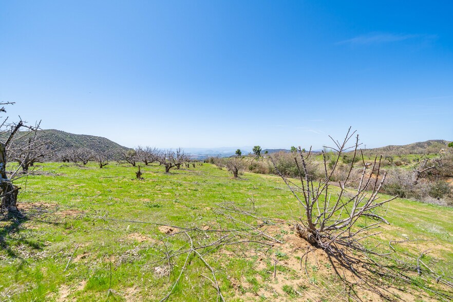 More Photos Of , Cherry Valley Land For Sale