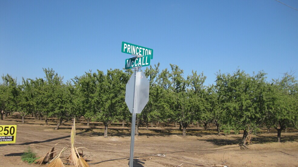 More Photos Of 2524 N McCall Ave, Sanger Land For Sale