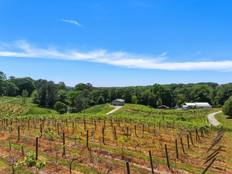 More Photos Of 2317 GA-382, Ellijay Winery Vineyard For Sale