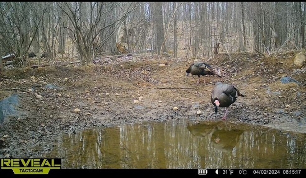 More Photos Of Fisher Road, Iola Land For Sale