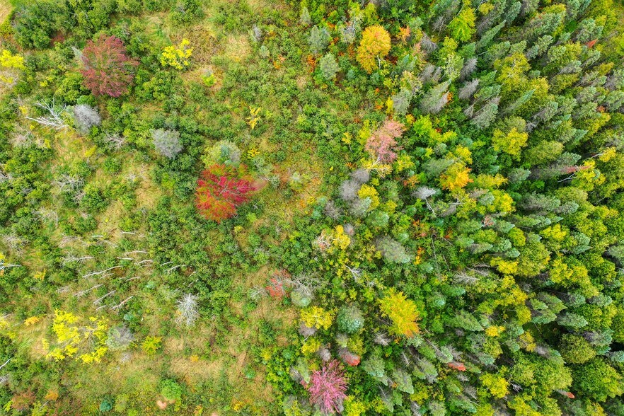 More Photos Of US Highway 141, Wausaukee Land For Sale