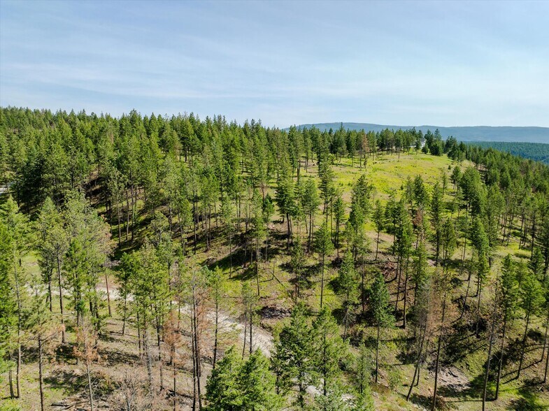 More Photos Of 327 Stone Mountain Rd, Rexford Land For Sale