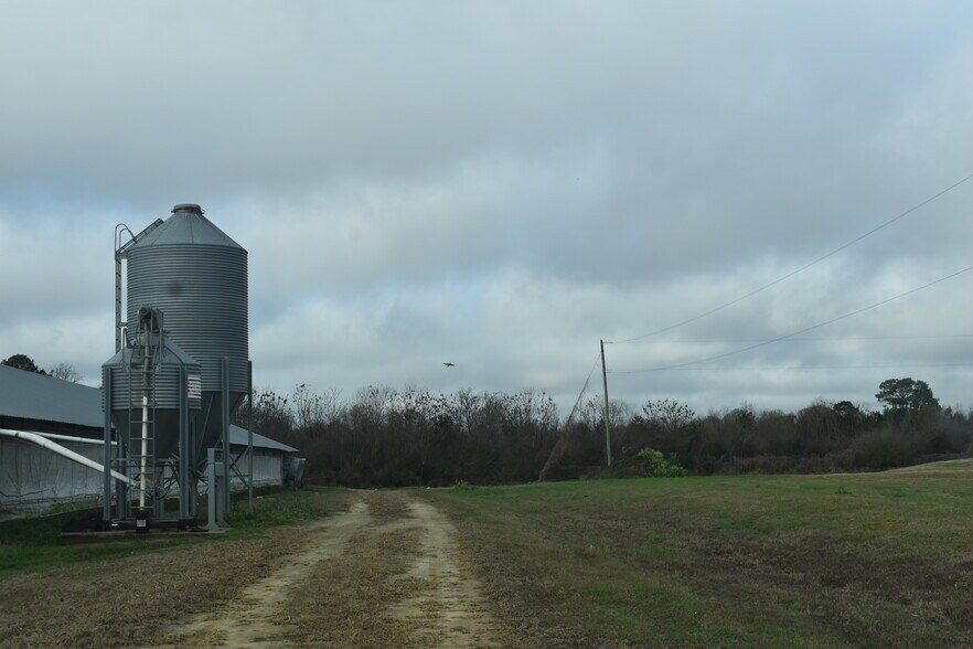 More Photos Of 441 Weaver Rd, Moultrie Land For Sale