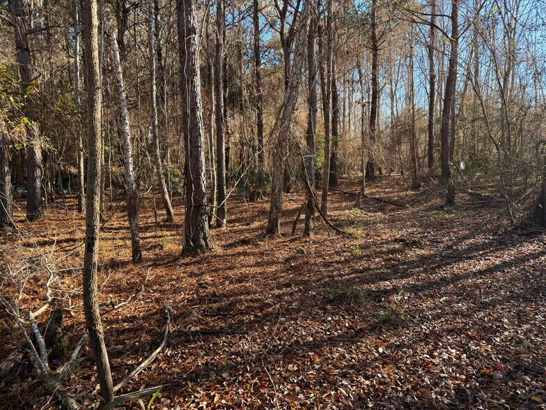 More Photos Of Repose Drive Rd, Branchville Land For Sale