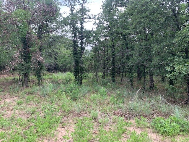 More Photos Of TBD Boyd Rd, Azle Land For Sale