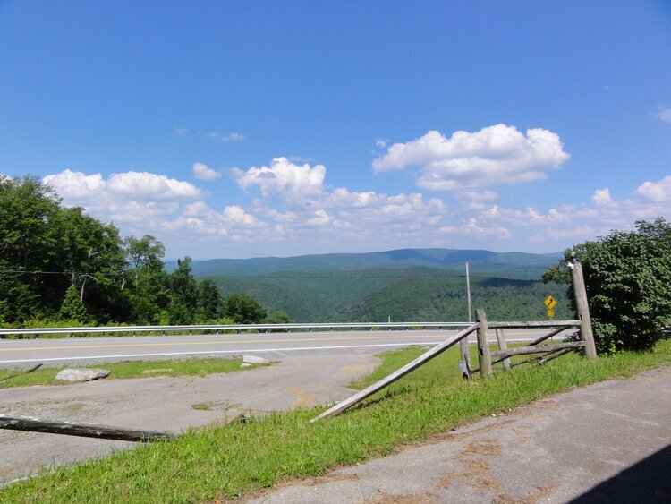 More Photos Of Route 250/92 Durbin, WV, Huttonsville Land For Sale