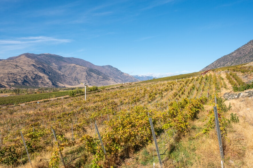 More Photos Of 1002 British Columbia 3, Cawston Winery Vineyard For Sale