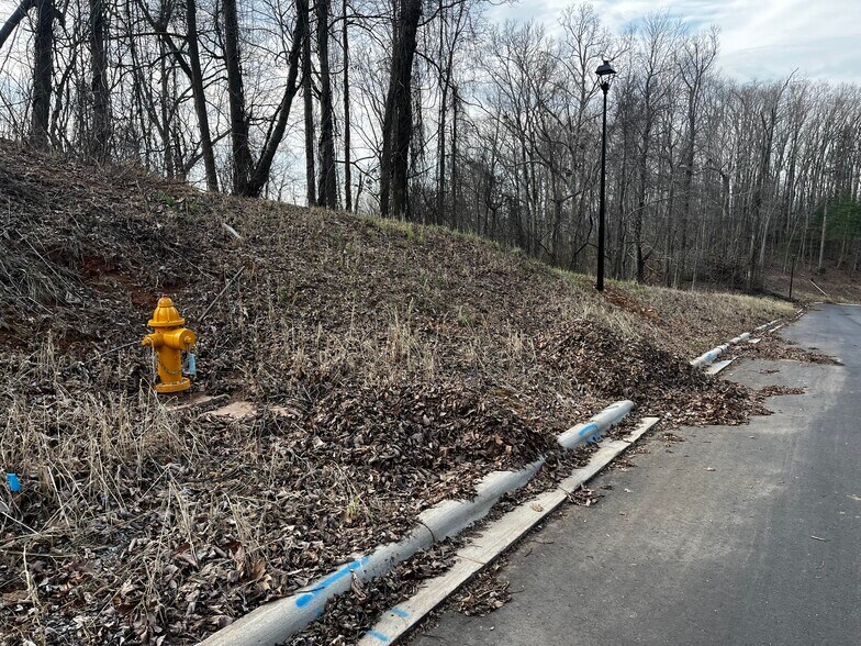 More Photos Of 105 Woodland Meadows Dr, Asheville Land For Sale