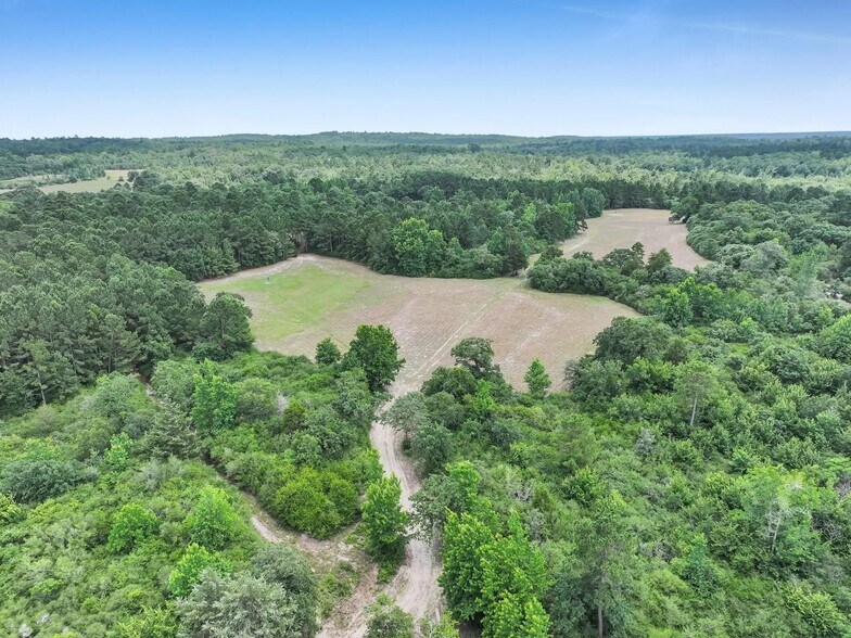 More Photos Of 8323 County Road 292, Buffalo Land For Sale