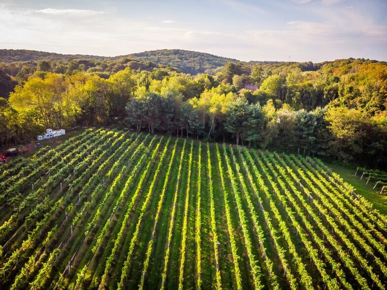 More Photos Of 848 CT-171, Woodstock Winery Vineyard For Sale