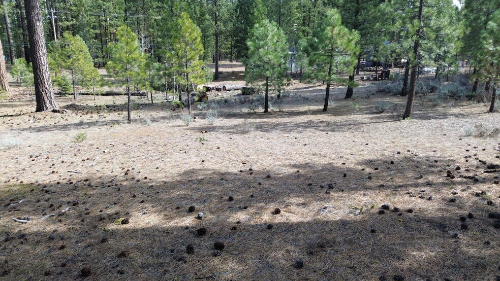 More Photos Of 42451 Blue Heron cir, Old Station Land For Sale