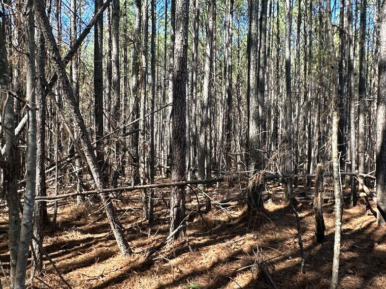 More Photos Of 3472 Prior Station Rd, Cedartown Land For Sale