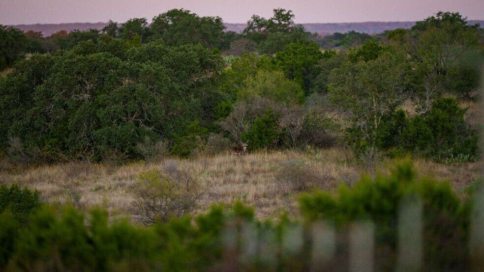 More Photos Of 917 Bear Springs rd, Mason Land For Sale