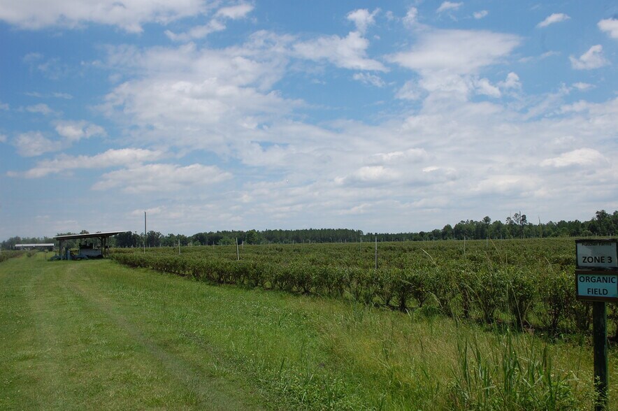 More Photos Of 18811 SE 243rd St, Hawthorne Specialty For Sale