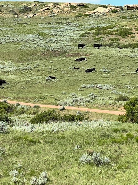 More Photos Of 10 Painted Hills Dr, Sheridan Land For Sale