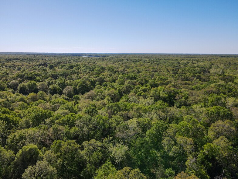 More Photos Of 3842 FM 2029, Telephone Land For Sale