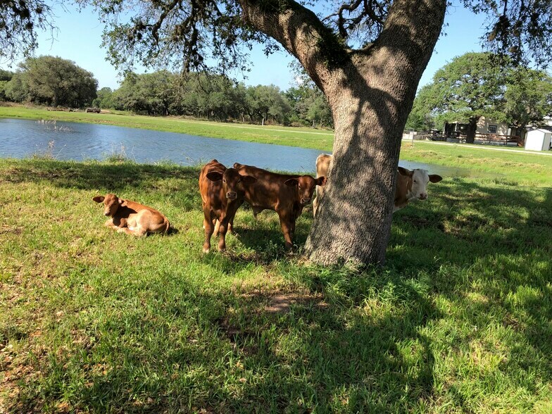 More Photos Of CR 19, Hallettsville Land For Sale