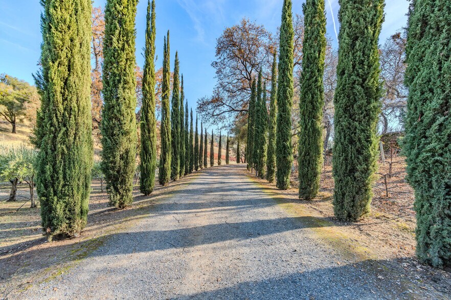 More Photos Of 5200 Di Arie Road, Mount Aukum Winery Vineyard For Sale