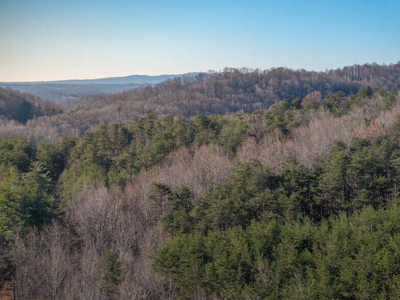 More Photos Of 00 Pittman Rd, Landrum Land For Sale