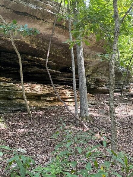 More Photos Of 190 Edgewater Dr, Eureka Springs Land For Sale