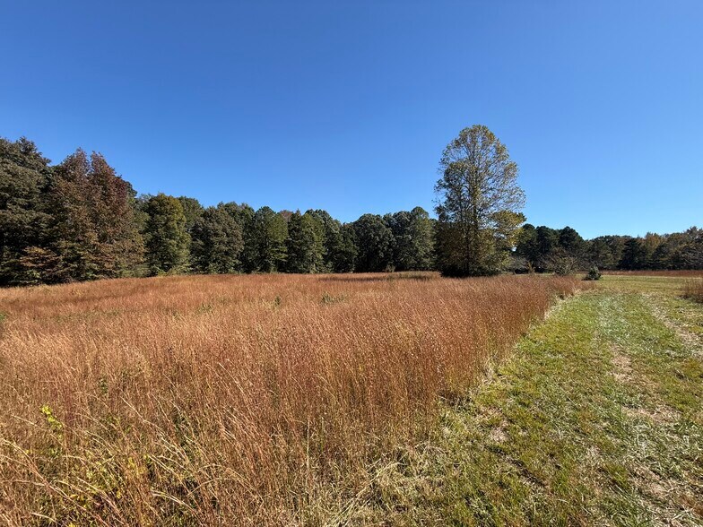 More Photos Of Erastus Church rd, Commerce Land For Sale