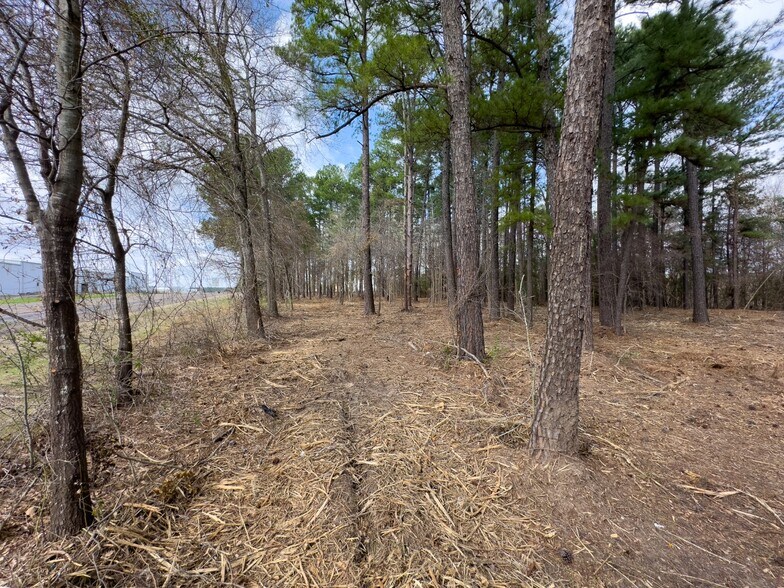 More Photos Of 3363 FM 349, Kilgore Land For Sale