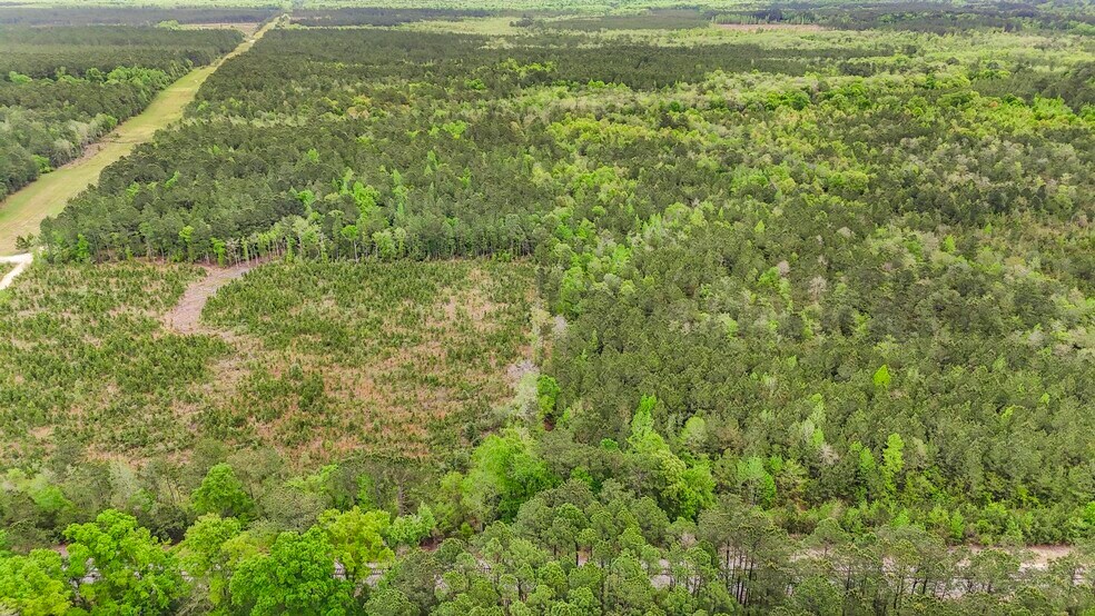 More Photos Of 20000 U.S. 43, Mount Vernon Land For Sale
