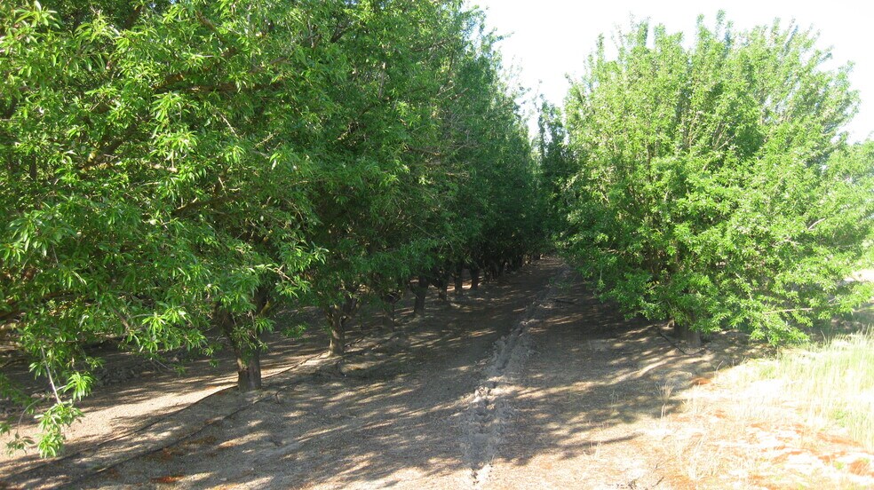 Primary Photo Of 15270 S McCall Ave, Kingsburg Winery Vineyard For Sale