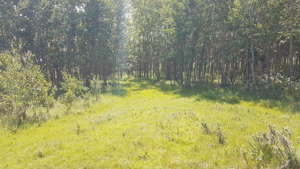 More Photos Of 1 Bow River, Rocky View No 44 Land For Sale