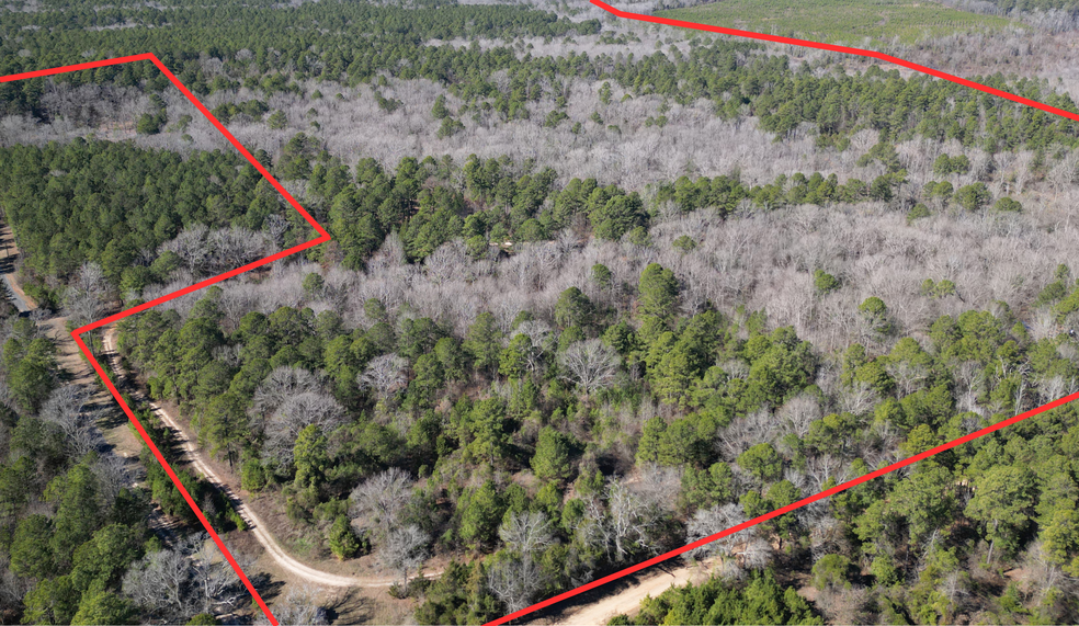 Primary Photo Of TBD CR 3217, Atlanta Land For Sale