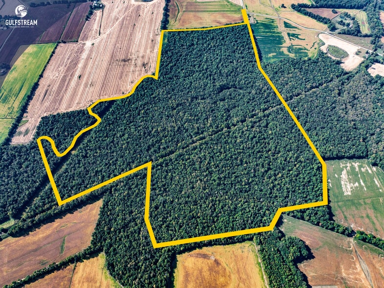Primary Photo Of 5675 Millers Mill rd, Philpot Land For Sale