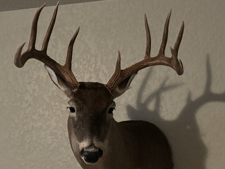 More Photos Of 4601 County Road 251, Hondo Land For Sale