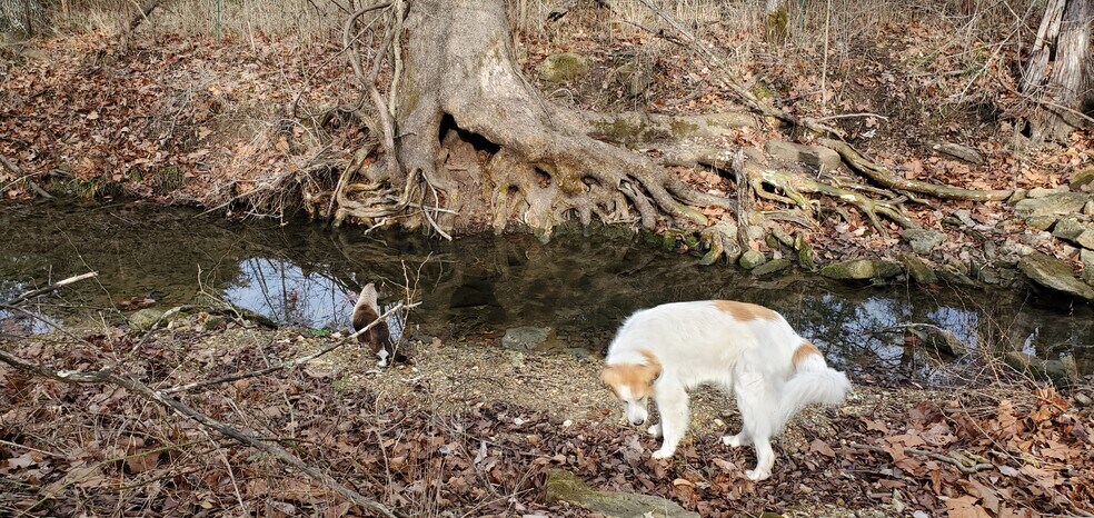 More Photos Of 4775 S 50th St, Aldrich Land For Sale