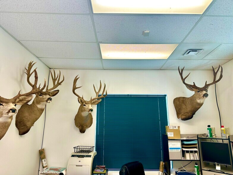 More Photos Of 1245 Alpha St, Ely Service For Sale