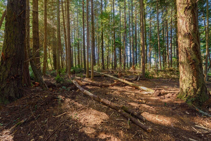 More Photos Of 0 Newmark ave, North Bend Land For Sale